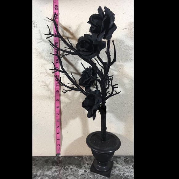 2 for $28 - Picture 8 of 8